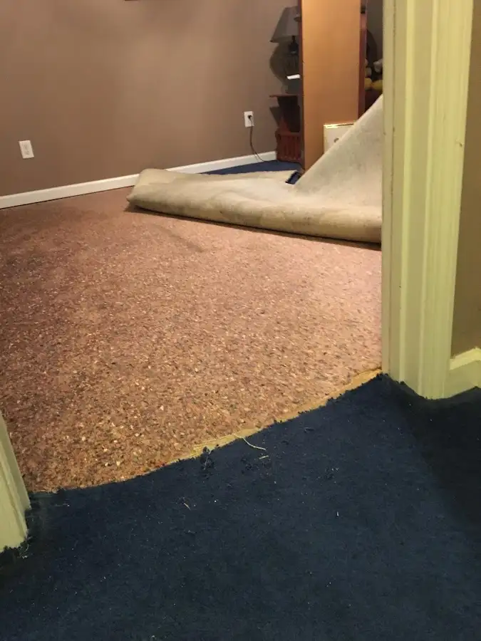 Carpet pad removal revealing water damage during Water Mitigation Services in Owensboro