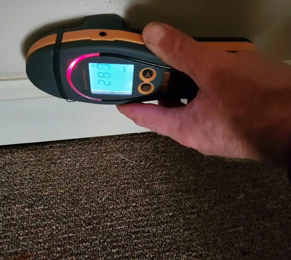 Moisture detection at baseboard during Sewage Cleanup & Sanitation in Owensboro